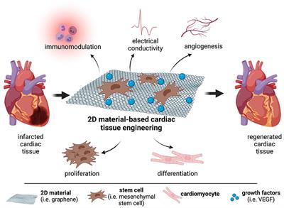 2D Materials for Cardiac Tissue Repair and Regeneration